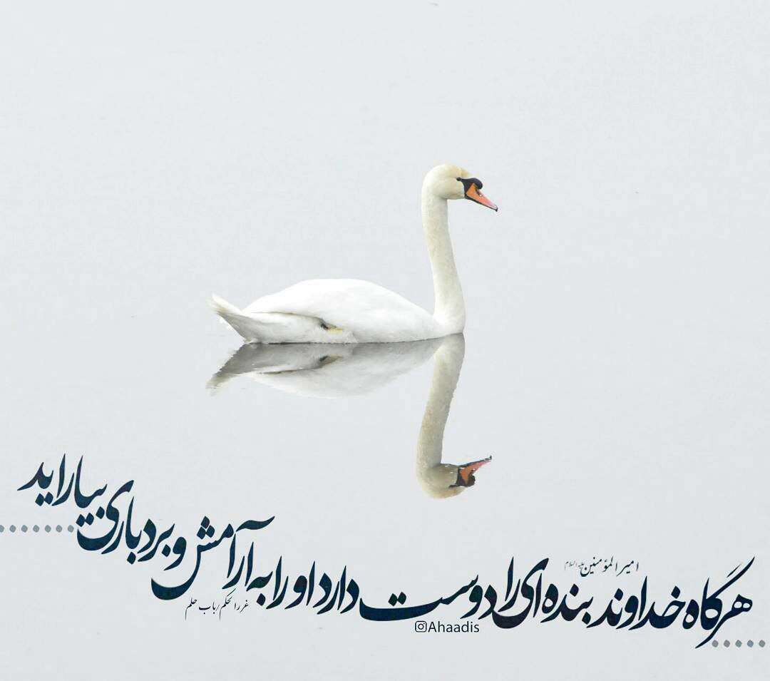 آرامش و بردباری